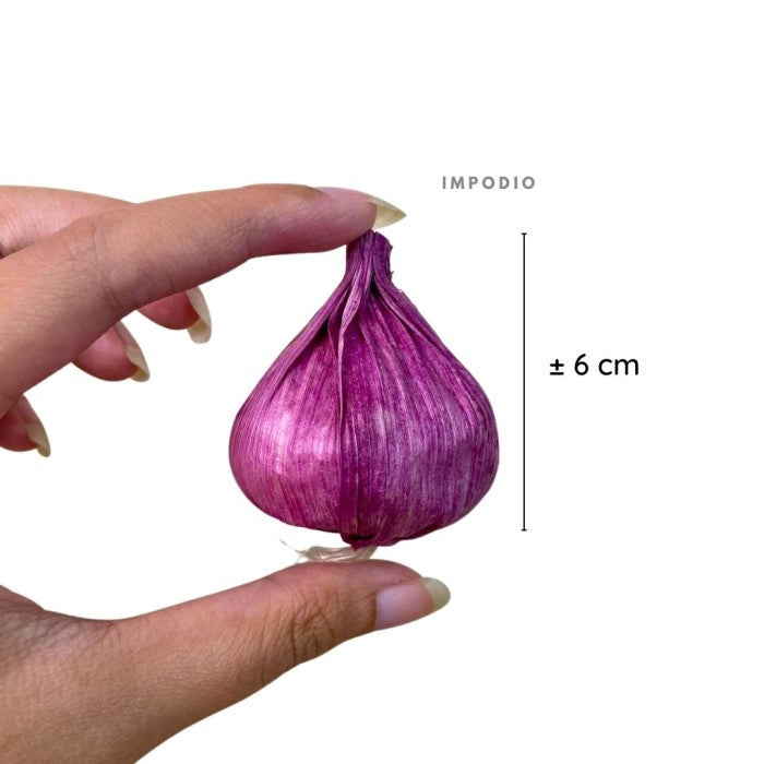 IMPODIO Bawang merah dan putih Palsu / Fake Garlic / - Props Foto