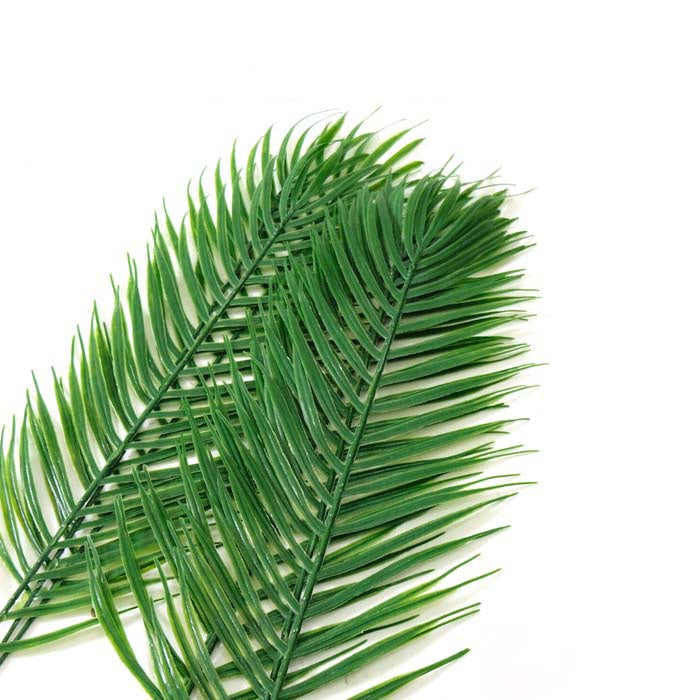 IMPODIO Palm Branch Leaf – properti foto produk konten - close up