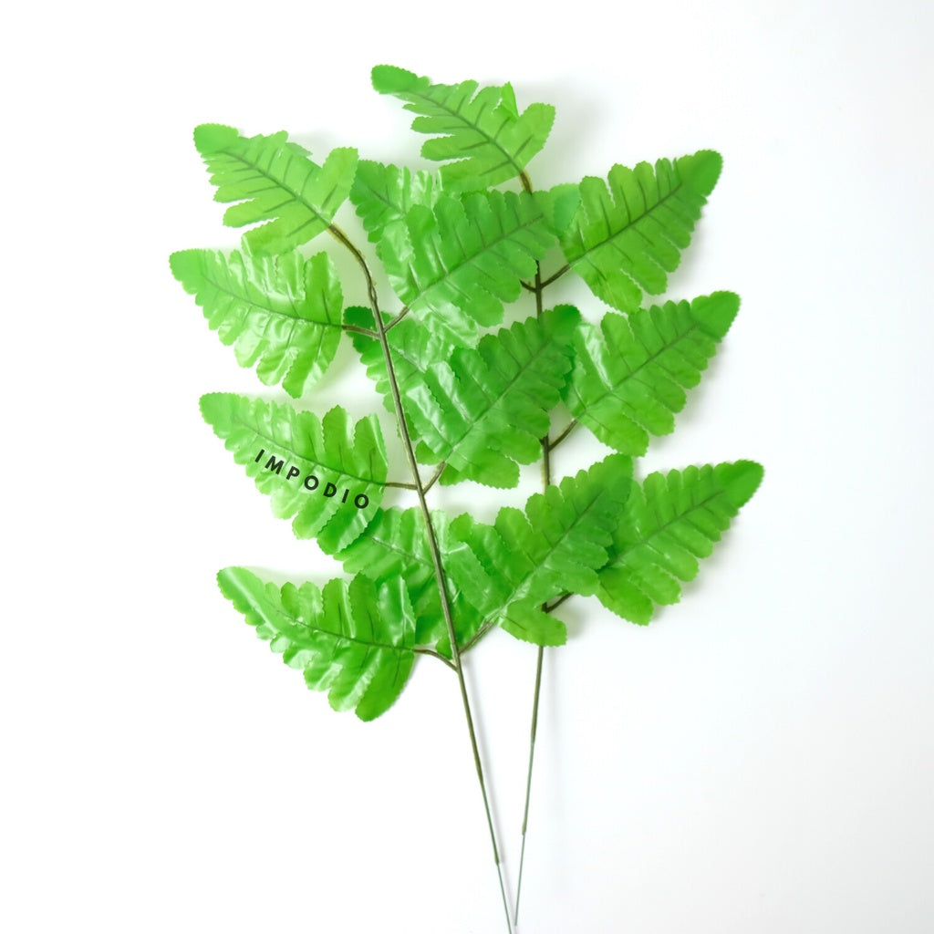 IMPODIO Daun Pakis Artificial - Props foto