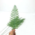 IMPODIO Green loose tail leaf tropical plam – Properti foto produk - detail produk