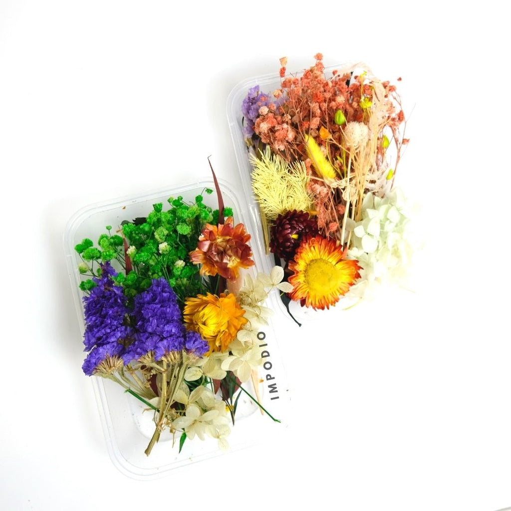 IMPODIO Paket Box bunga kering import - Bunga kering - Props foto
