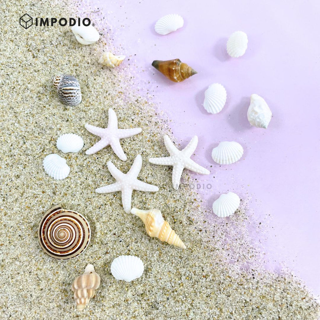 IMPODIO Mini kerang hias set – hiasan mahar – foto produk acc - close up