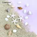 IMPODIO Mini kerang hias set – hiasan mahar – foto produk acc