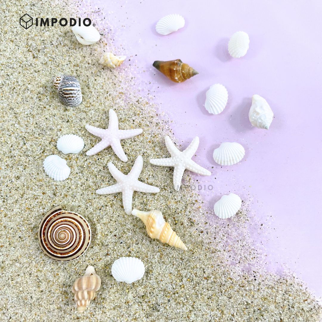 IMPODIO Mini kerang hias set – hiasan mahar – foto produk acc - close up