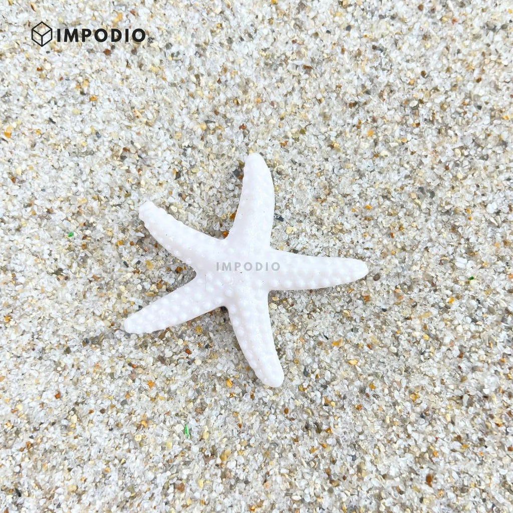 IMPODIO Mini kerang hias set – hiasan mahar – foto produk acc - packaging