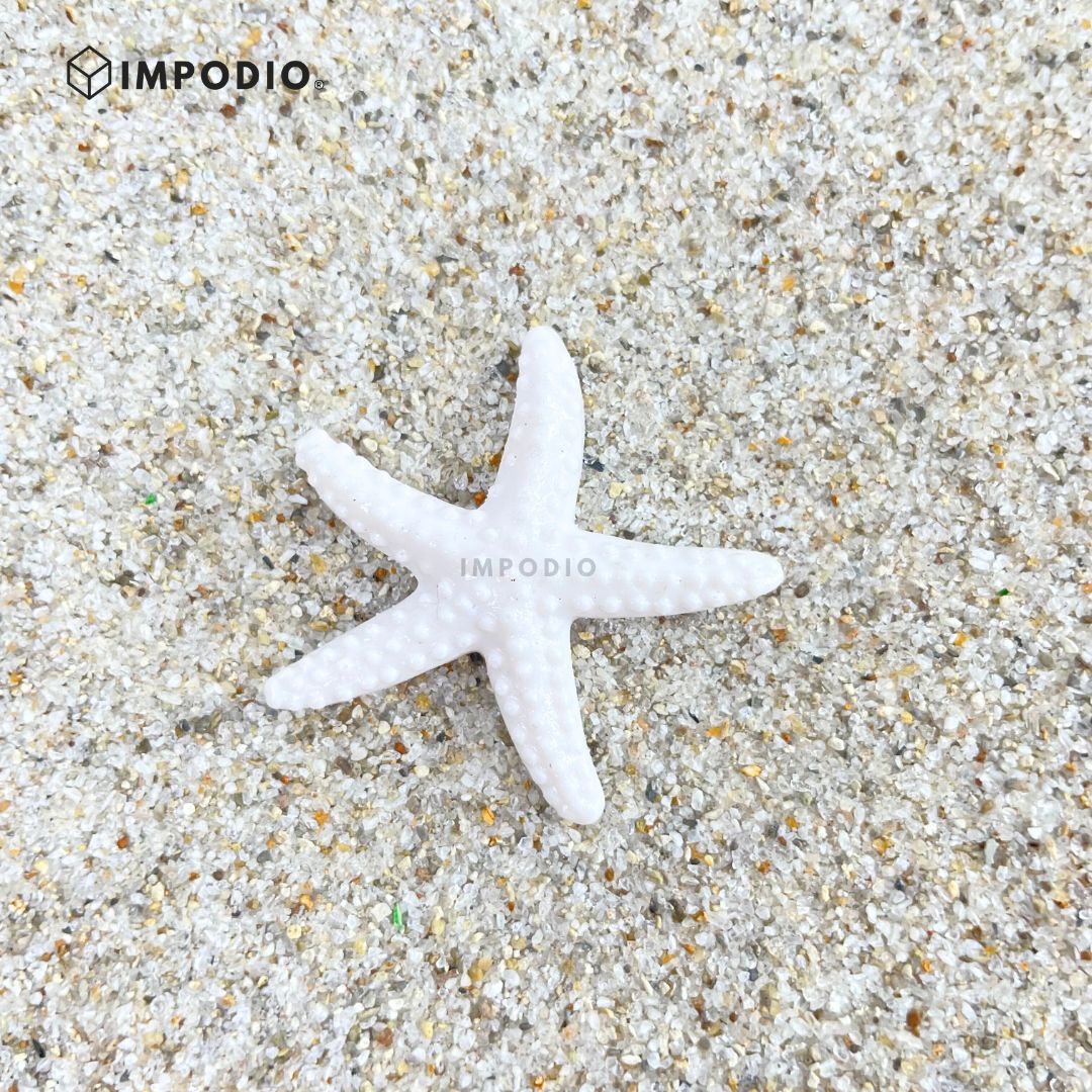 IMPODIO Mini kerang hias set – hiasan mahar – foto produk acc - packaging