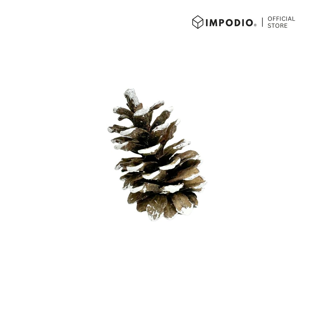 IMPODIO Bunga Pinus Christmas Edition / PInus putih / Pinus kering putih Props