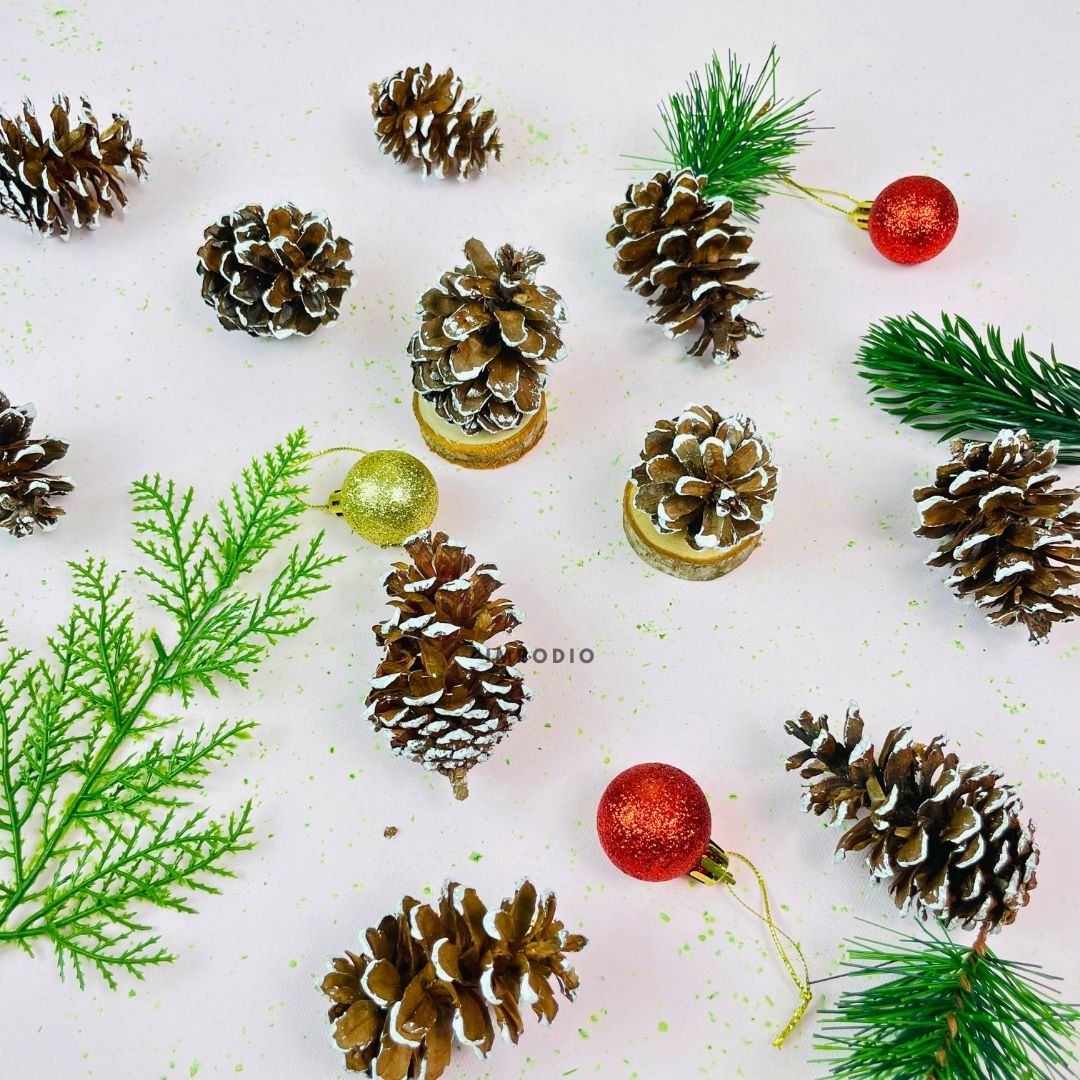 IMPODIO Bunga Pinus Christmas Edition / PInus putih / Pinus kering putih Props