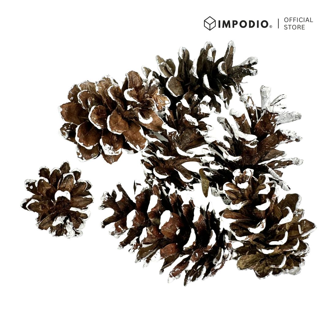 IMPODIO Bunga Pinus Christmas Edition / PInus putih / Pinus kering putih Props