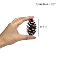IMPODIO Bunga Pinus Christmas Edition / PInus putih / Pinus kering putih Props