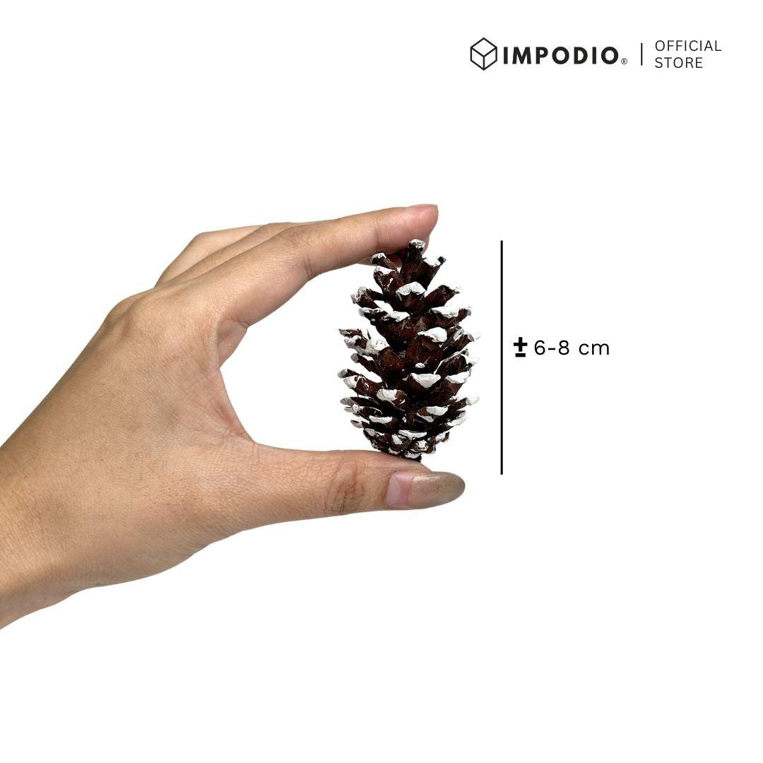 IMPODIO Bunga Pinus Christmas Edition / PInus putih / Pinus kering putih Props