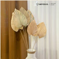 IMPODIO Gold Palm Leaf - Props Daun Kering Gold Properti Foto Aesthetic Rustic