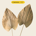 IMPODIO Gold Palm Leaf - Props Daun Kering Gold Properti Foto Aesthetic Rustic