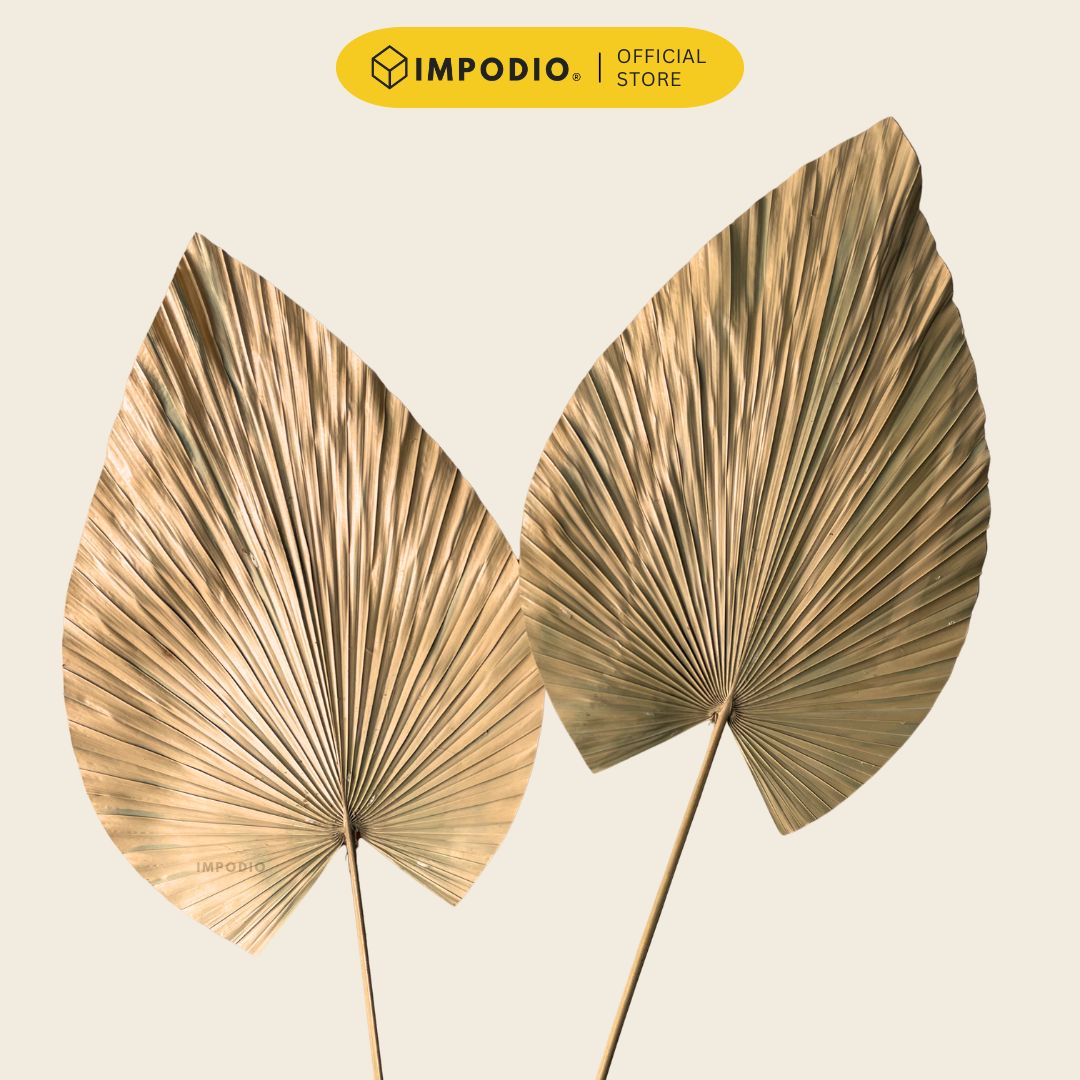 IMPODIO Gold Palm Leaf - Props Daun Kering Gold Properti Foto Aesthetic Rustic