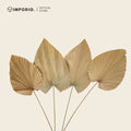 IMPODIO Gold Palm Leaf - Props Daun Kering Gold Properti Foto Aesthetic Rustic
