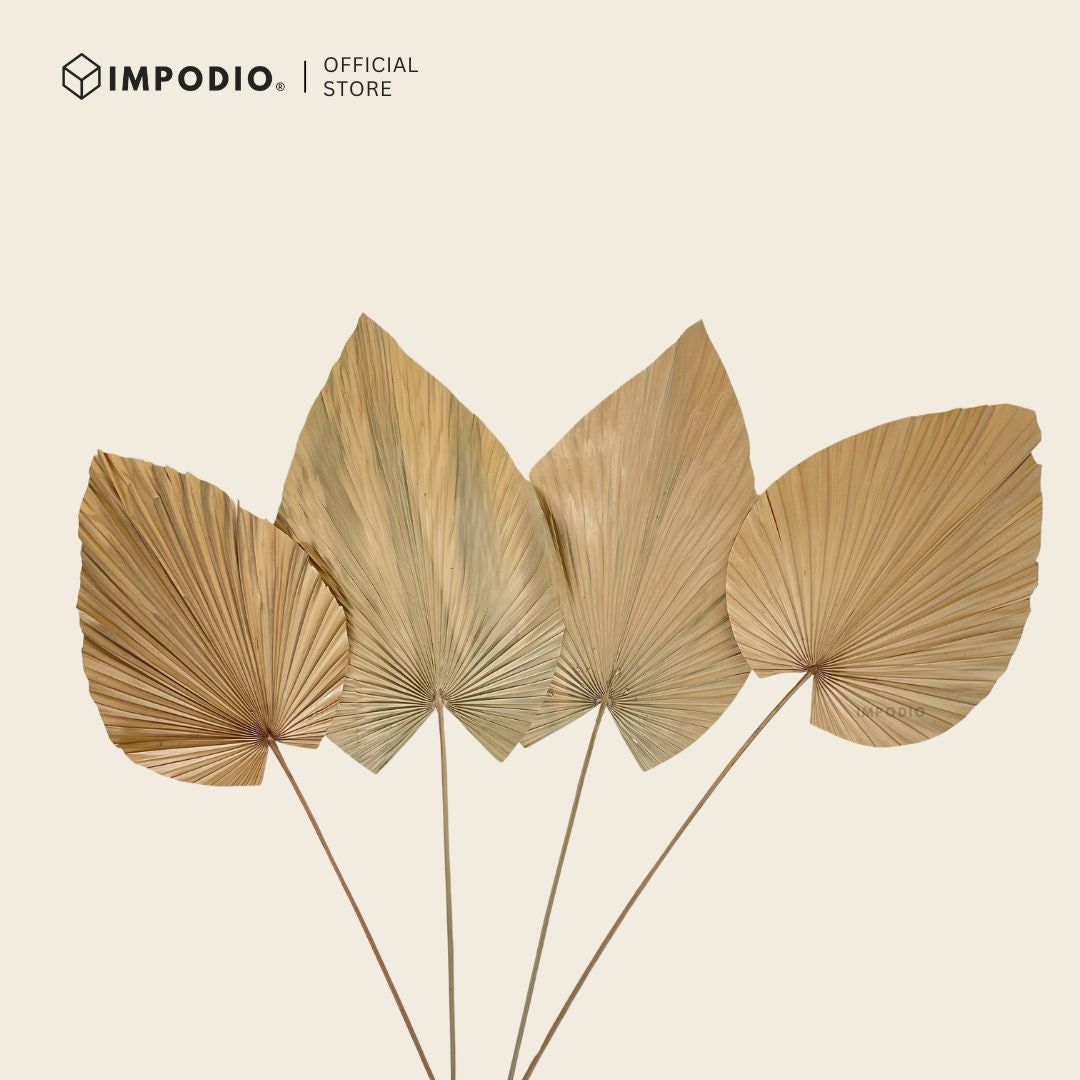 IMPODIO Gold Palm Leaf - Props Daun Kering Gold Properti Foto Aesthetic Rustic