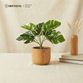 IMPODIO Mini Pohon monstera - Montsera artficial 7 tangkai untuk Properti foto/ aksesoris dekor