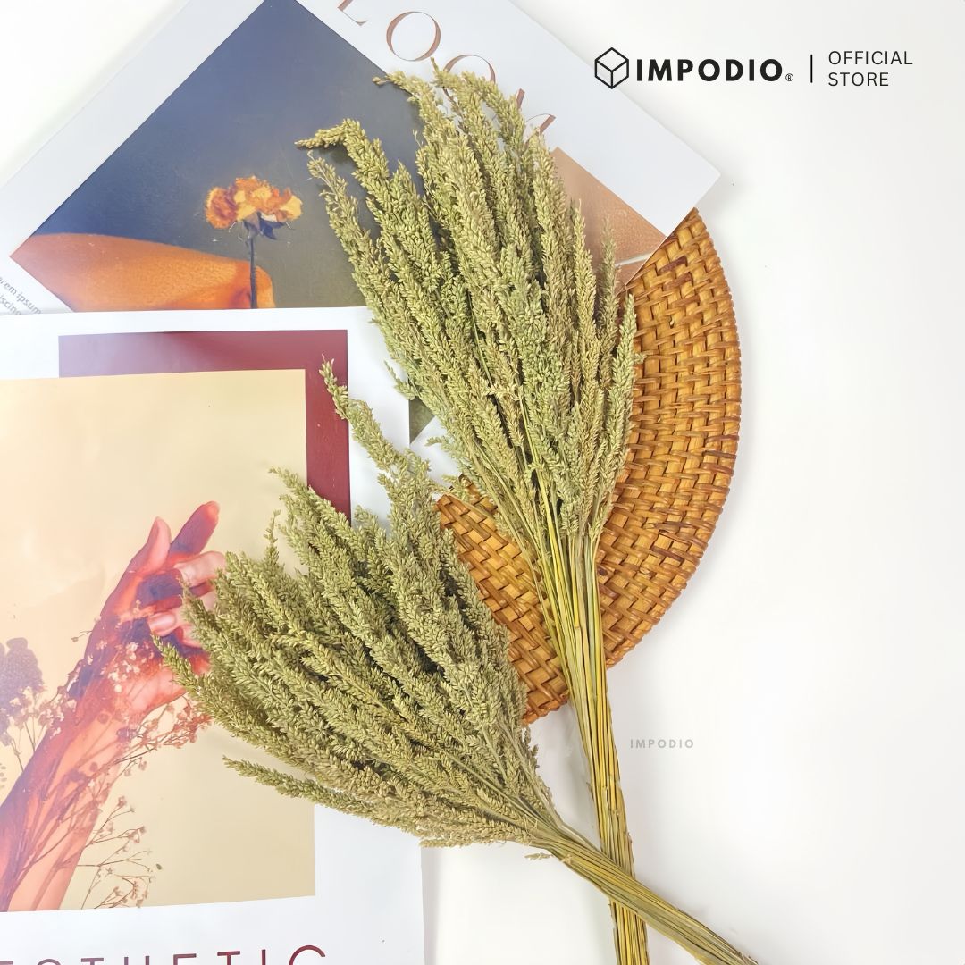 IMPODIO Bunga Kering Jawan Dried Flower - Properti Foto Estetik untuk Konten Rustic Natural Dekorasi Rumah Kafe