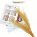 IMPODIO Dried Pampas – bunga pampas kering – aksesoris pelengkap photo
