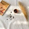 IMPODIO Dried Pampas – bunga pampas kering – aksesoris pelengkap photo