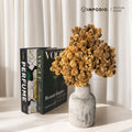 IMPODIO Dried Flower Marigold Bunga Kering - Props Foto Estetik Rustic Vintage