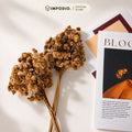 IMPODIO Dried Flower Marigold Bunga Kering - Props Foto Estetik Rustic Vintage