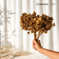 IMPODIO Dried Flower Marigold Bunga Kering - Props Foto Estetik Rustic Vintage