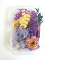 IMPODIO Paket Box bunga kering import - Bunga kering - Props foto - detail produk