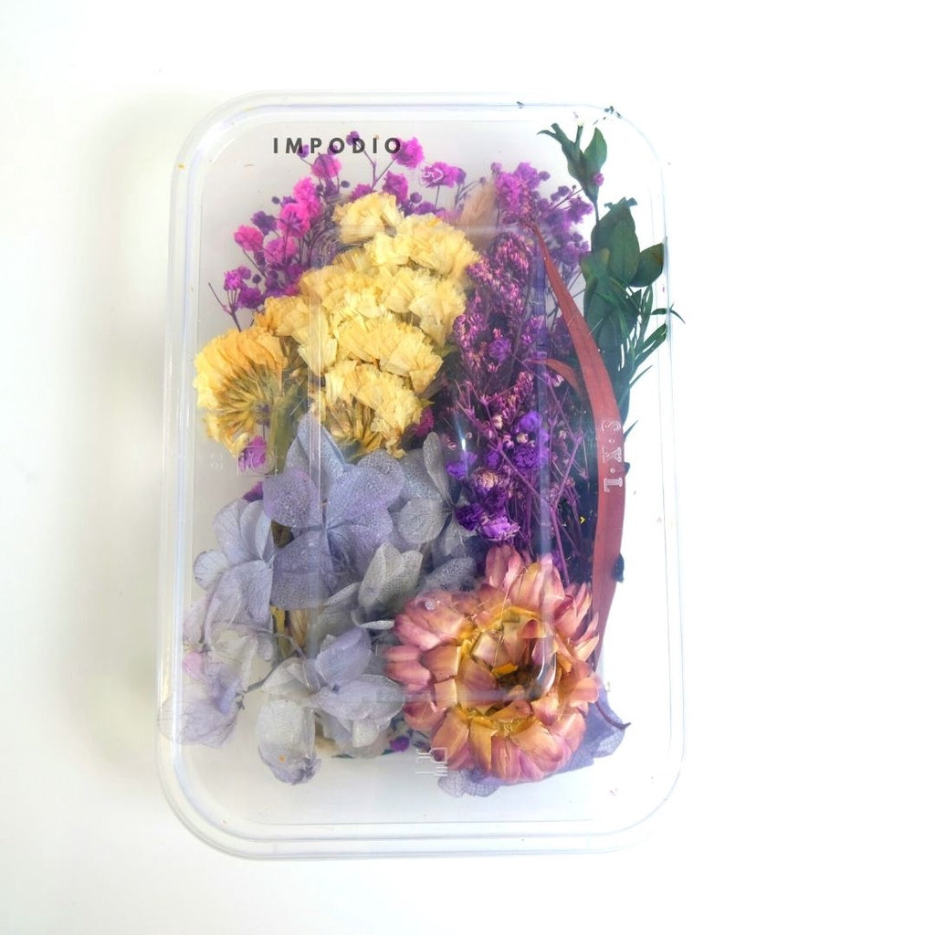 IMPODIO Paket Box bunga kering import - Bunga kering - Props foto