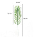 IMPODIO Daun Sikas Artificial 2 varian Properti foto props - close up