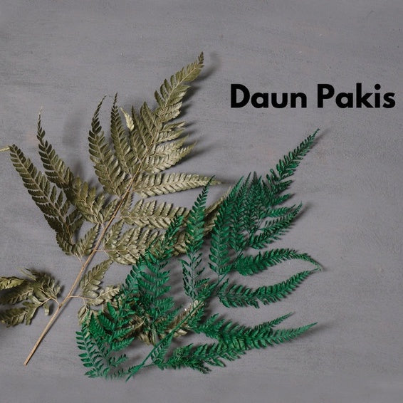 IMPODIO Daun Pakis Kering/dried leaf flower props  Properti foto produk