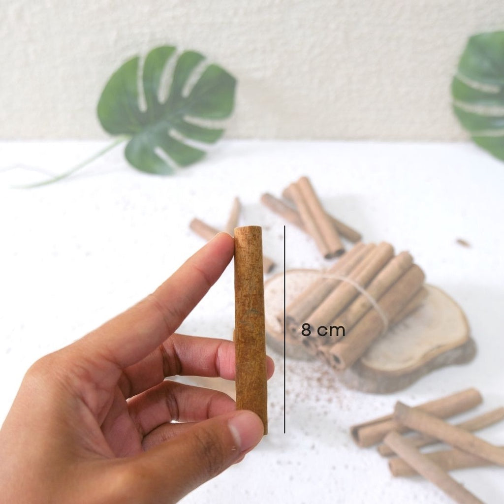 Cinnamon stick IMPODIO/kayu manis / rustic properti foto - photo props