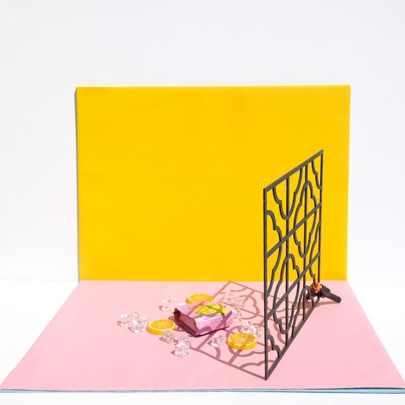 Gobo Black IMPODIO /pembentuk bayangan foto / cookie light photo props