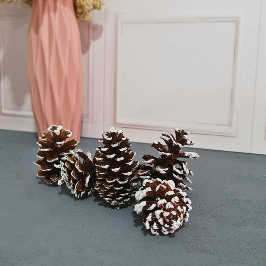 IMPODIO Bunga Pinus Christmas Edition / PInus putih / Pinus kering putih Props