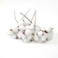 IMPODIO Cotton flower – bunga kapas props foto dekoratif bunga kering - close up