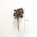 IMPODIO 1 ikat dried flower marigold – buket bunga kering - props foto - detail produk