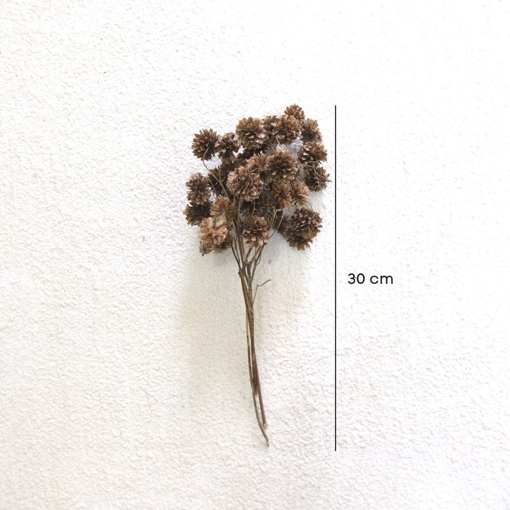 IMPODIO 1 ikat dried flower marigold / buket bunga kering - props foto