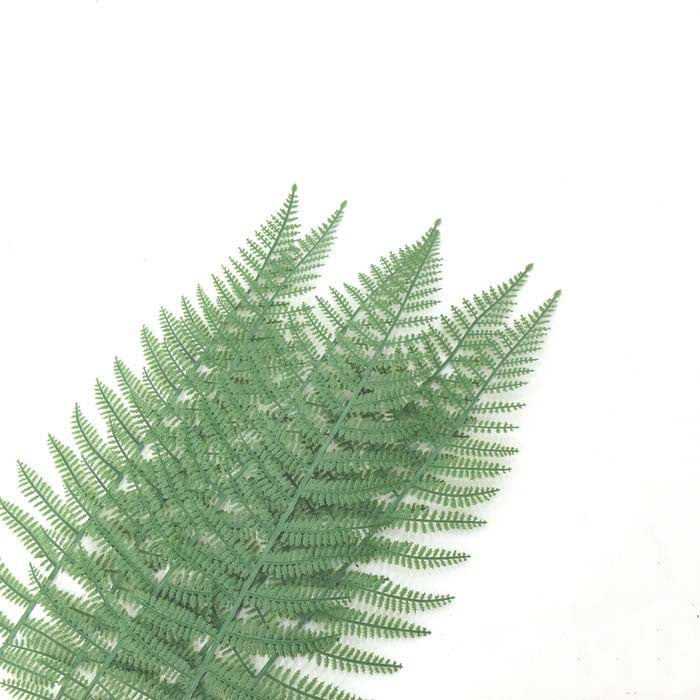 IMPODIO Green loose tail leaf tropical plam – Properti foto produk