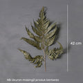 IMPODIO Daun Pakis Kering – dried leaf flower props Properti foto