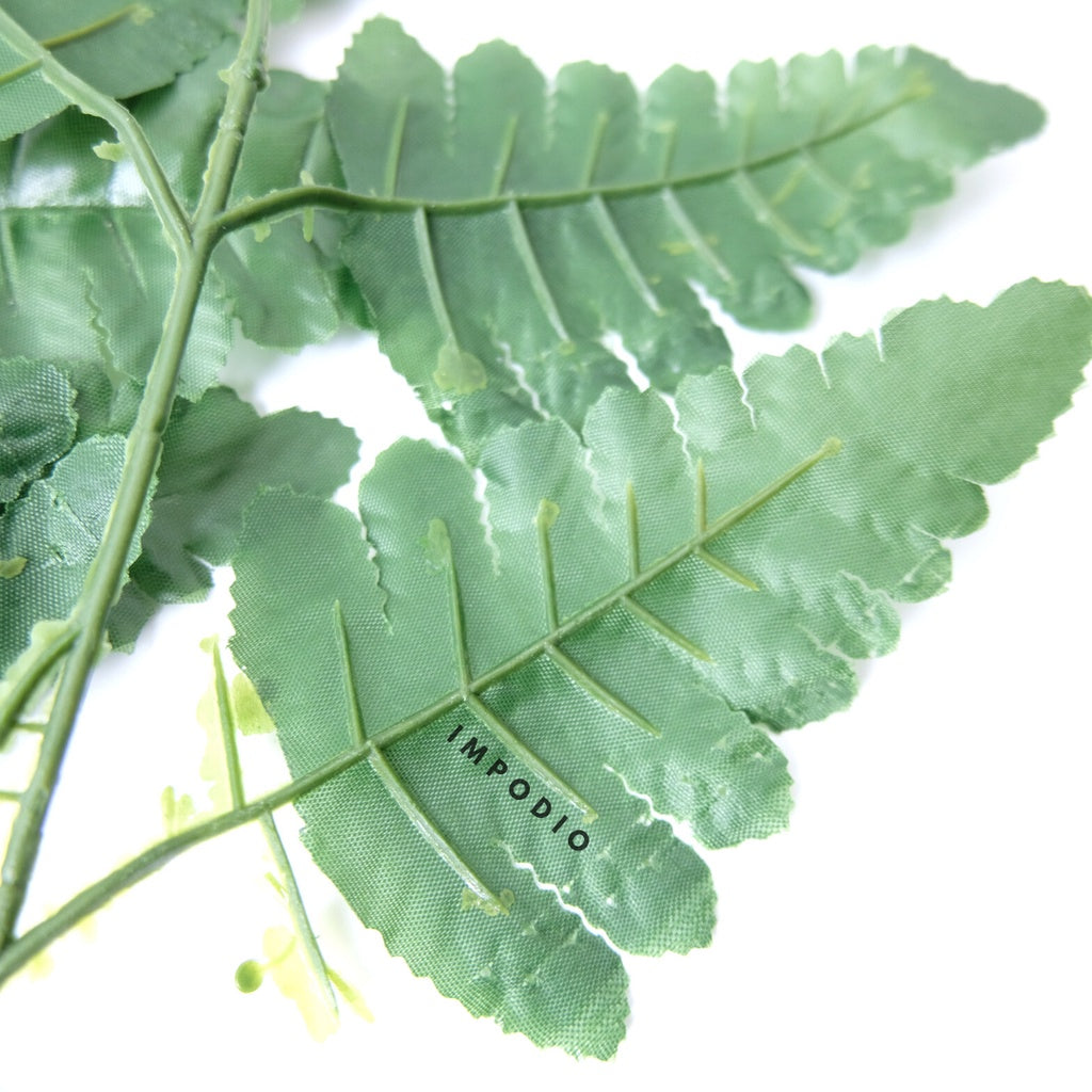 IMPODIO Daun Pakis Artificial - Props foto