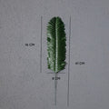 IMPODIO Daun Sikas Artificial 2 varian Properti foto props - background putih