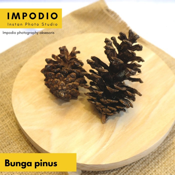 IMPODIO Bunga Pinus Kering / Crafts / Terrarium Artificial untuk props foto