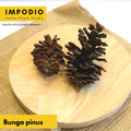 IMPODIO Bunga Pinus Kering – Crafts - tampak samping