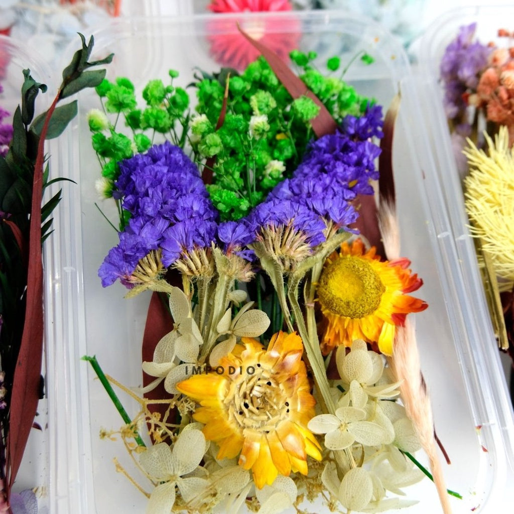 IMPODIO Paket Box bunga kering import - Bunga kering - Props foto