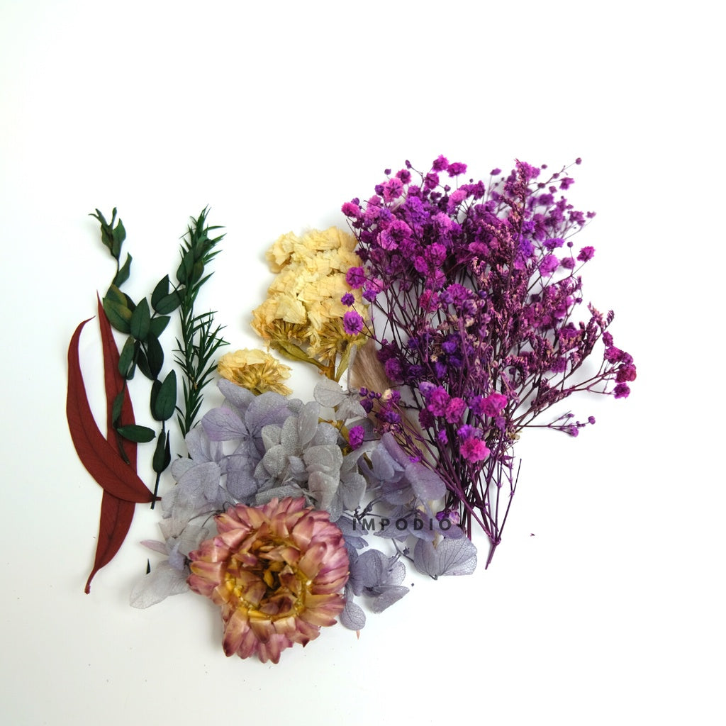 IMPODIO Paket Box bunga kering import - Bunga kering - Props foto