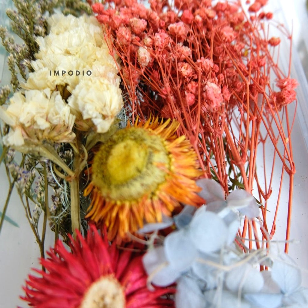 IMPODIO Paket Box bunga kering import - Bunga kering - Props foto