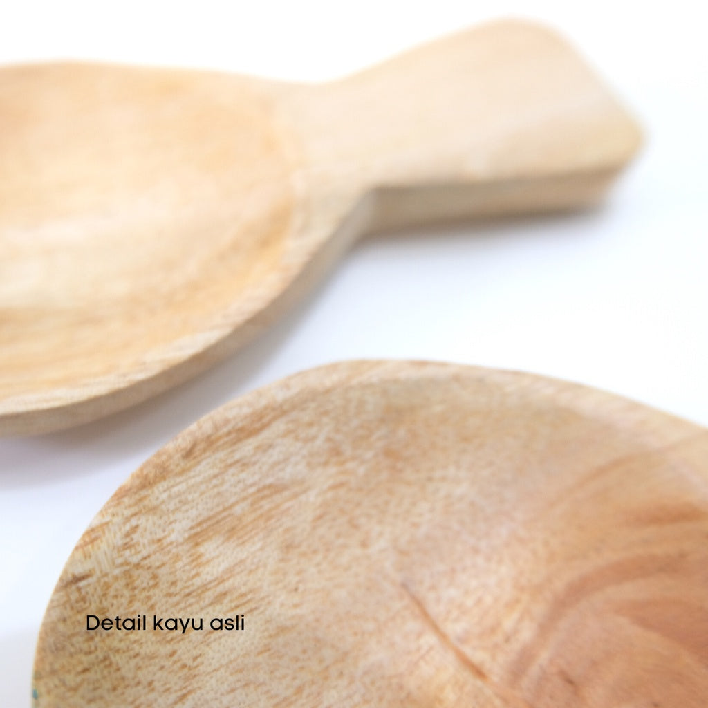 IMPODIO spoon fish - Properti props foto