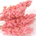IMPODIO Artificial Japanese Skimmia Flower IMPODIO - tampak samping
