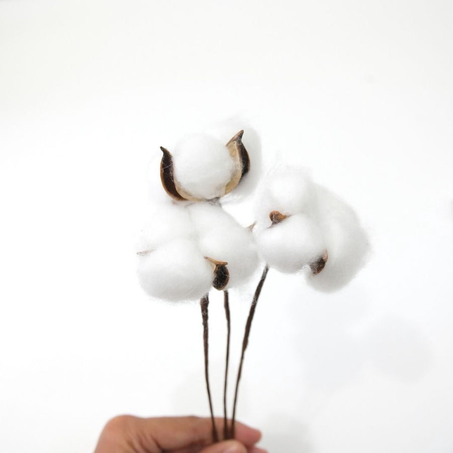IMPODIO Cotton flower – bunga kapas props foto dekoratif bunga kering