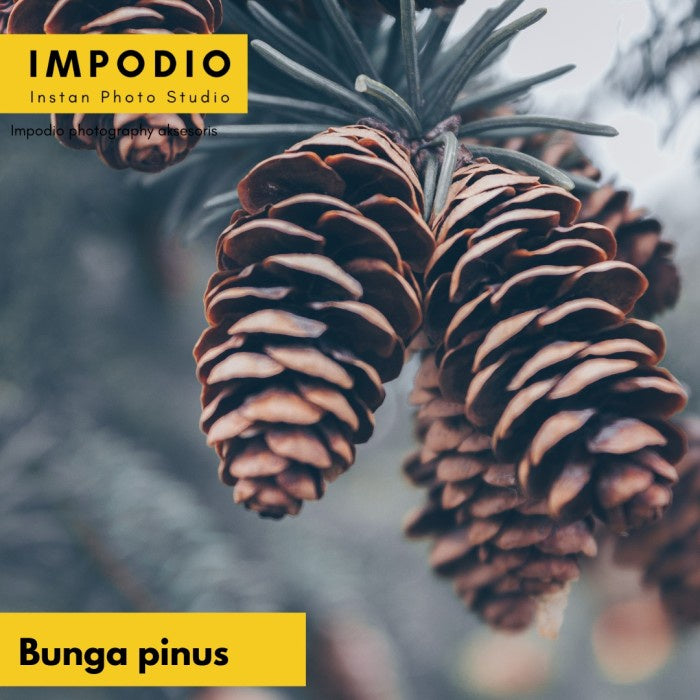 IMPODIO Bunga Pinus Kering / Crafts / Terrarium Artificial untuk props foto